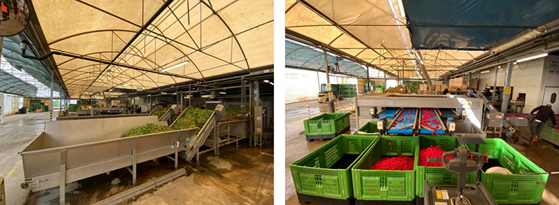 Prove sperimentali O.P. Ortolanda - Efficientamento energetico